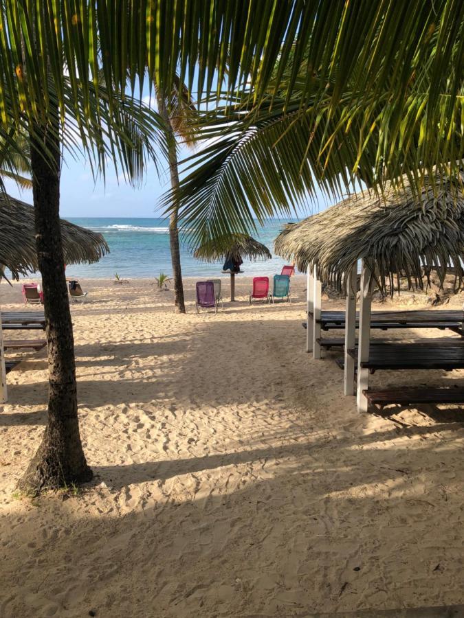 Brin D'Ile Anse Des Rochers Vue Mer A 50 M De La Plage Et Piscine Saint-Francois  Zewnętrze zdjęcie