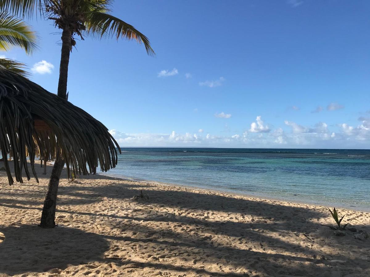Brin D'Ile Anse Des Rochers Vue Mer A 50 M De La Plage Et Piscine Saint-Francois  Zewnętrze zdjęcie