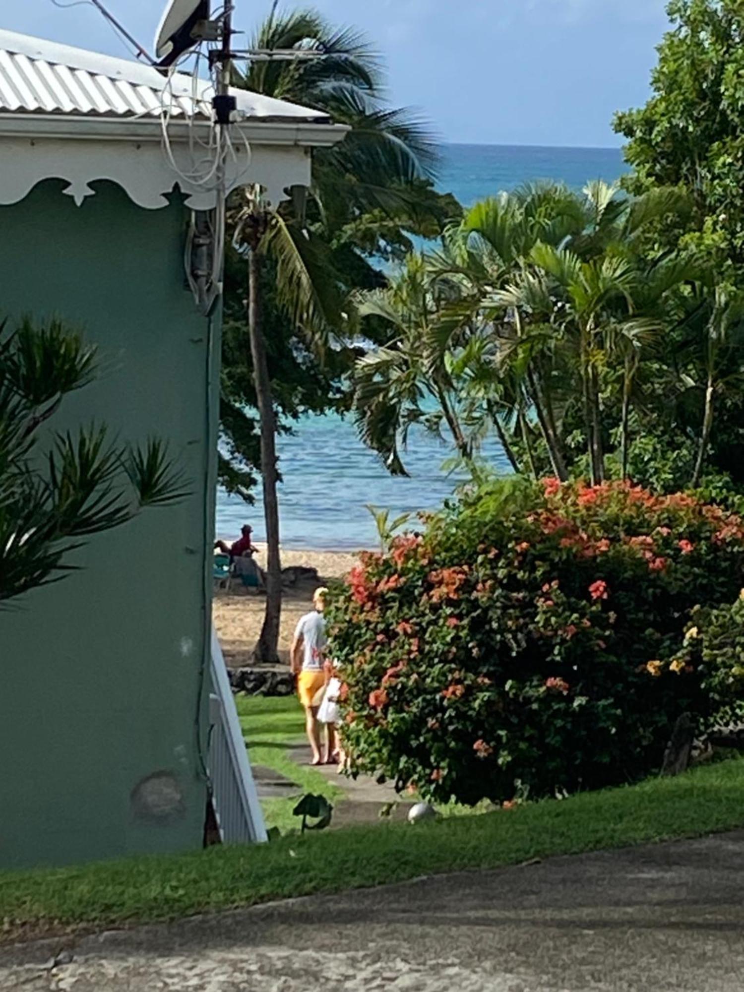Brin D'Ile Anse Des Rochers Vue Mer A 50 M De La Plage Et Piscine Saint-Francois  Zewnętrze zdjęcie