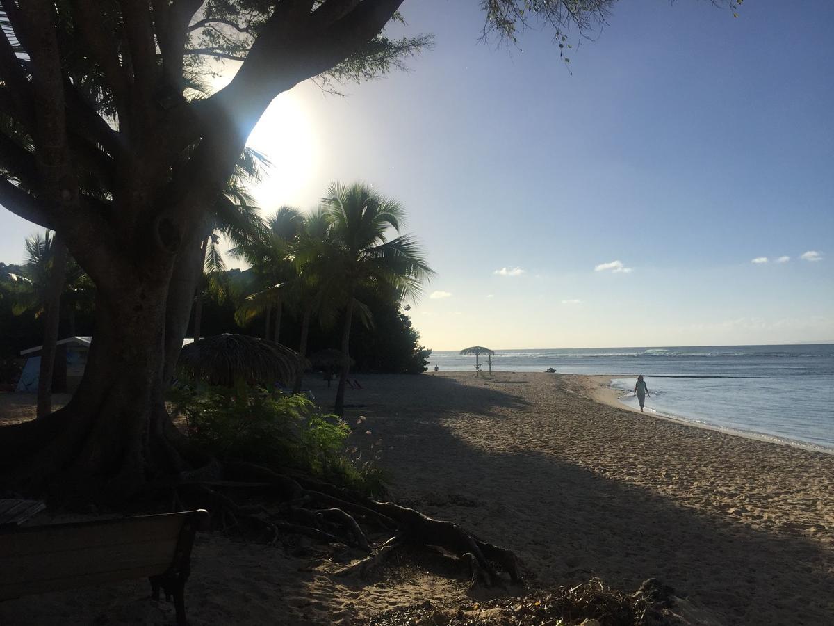 Brin D'Ile Anse Des Rochers Vue Mer A 50 M De La Plage Et Piscine Saint-Francois  Zewnętrze zdjęcie